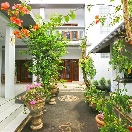 Ibus Room Canggu Exteriér fotografie