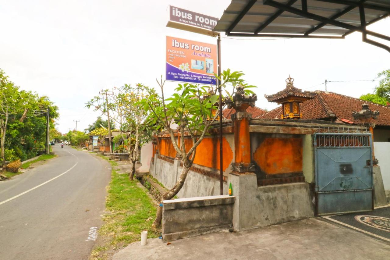 Ibus Room Canggu Exteriér fotografie